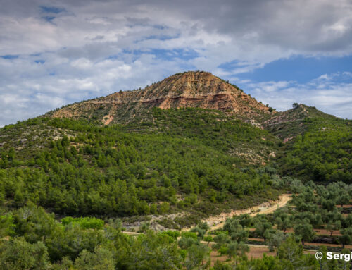 Montmaneu des del Refugi dels Caçadors (circular)